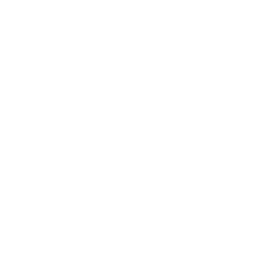 Finance Icon