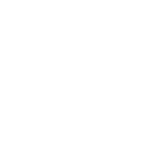 Setor governamental e público Icon