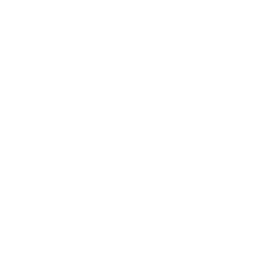 Services Icon