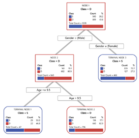 Class node Decision Tree by Gender and Age
