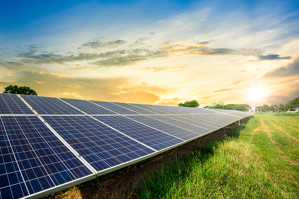 Solar panel cell in an open field with a sunset sky background.