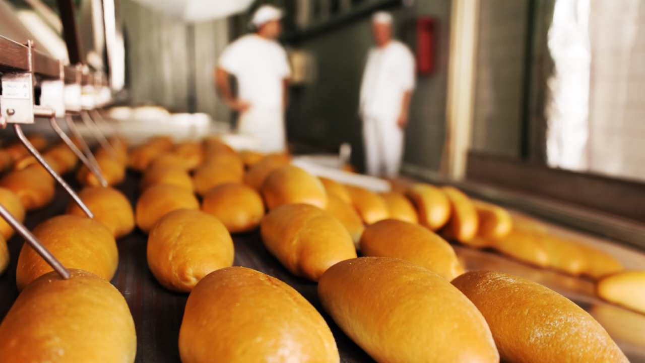 Large scale production of fresh rolls in a bakery with two bakers in the background.
